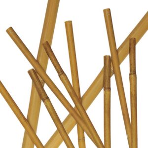 cannette in canna di bambù