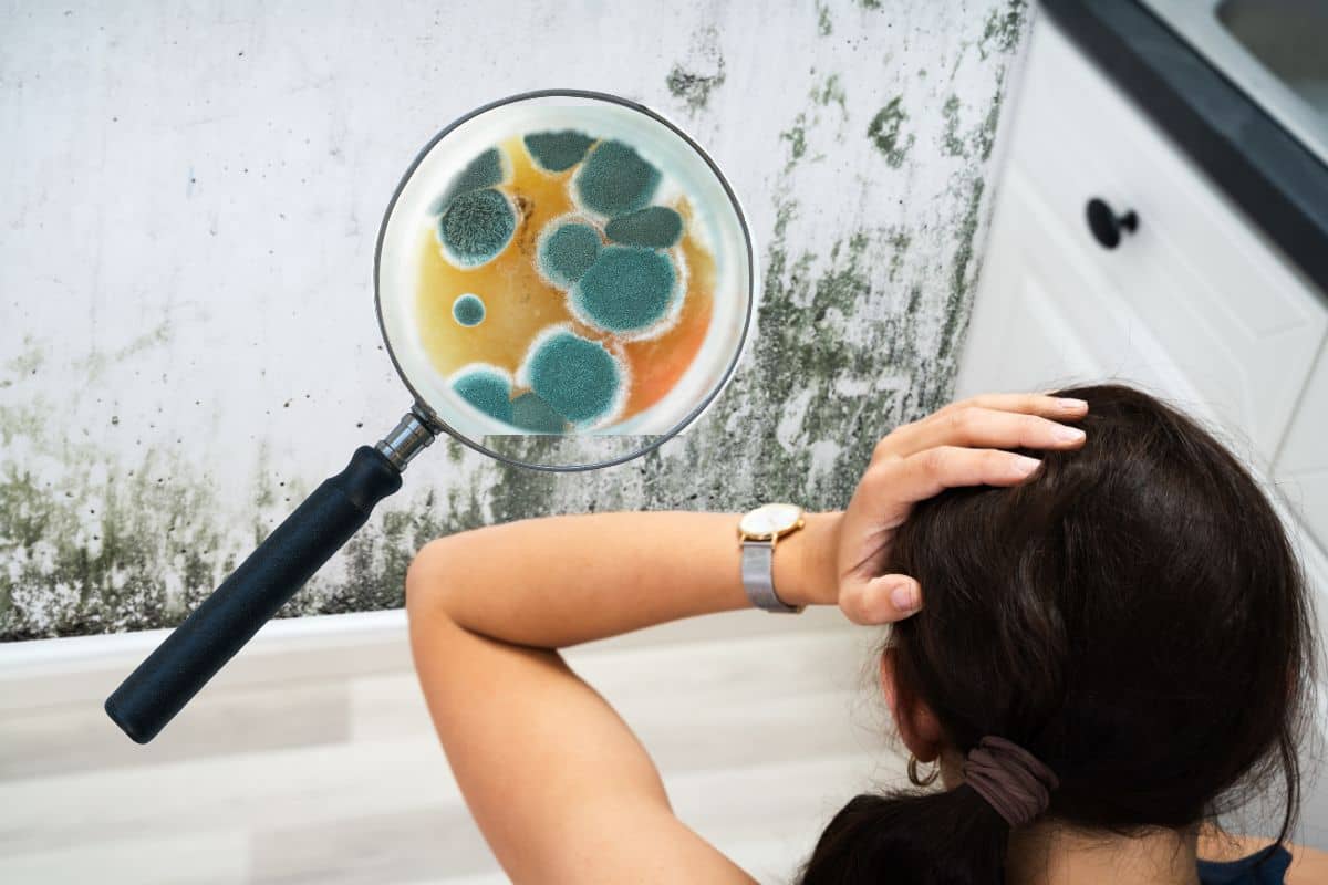 muffa sul muro con donna con le mani nei capelli e lente ingrandimento che vede da vicino le spore