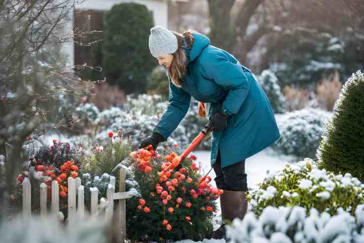 cura giardino inverno